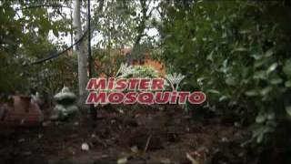 Kill Mosquitoes With Mister Mosquito Misting System