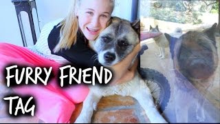 Furry Friend Tag!