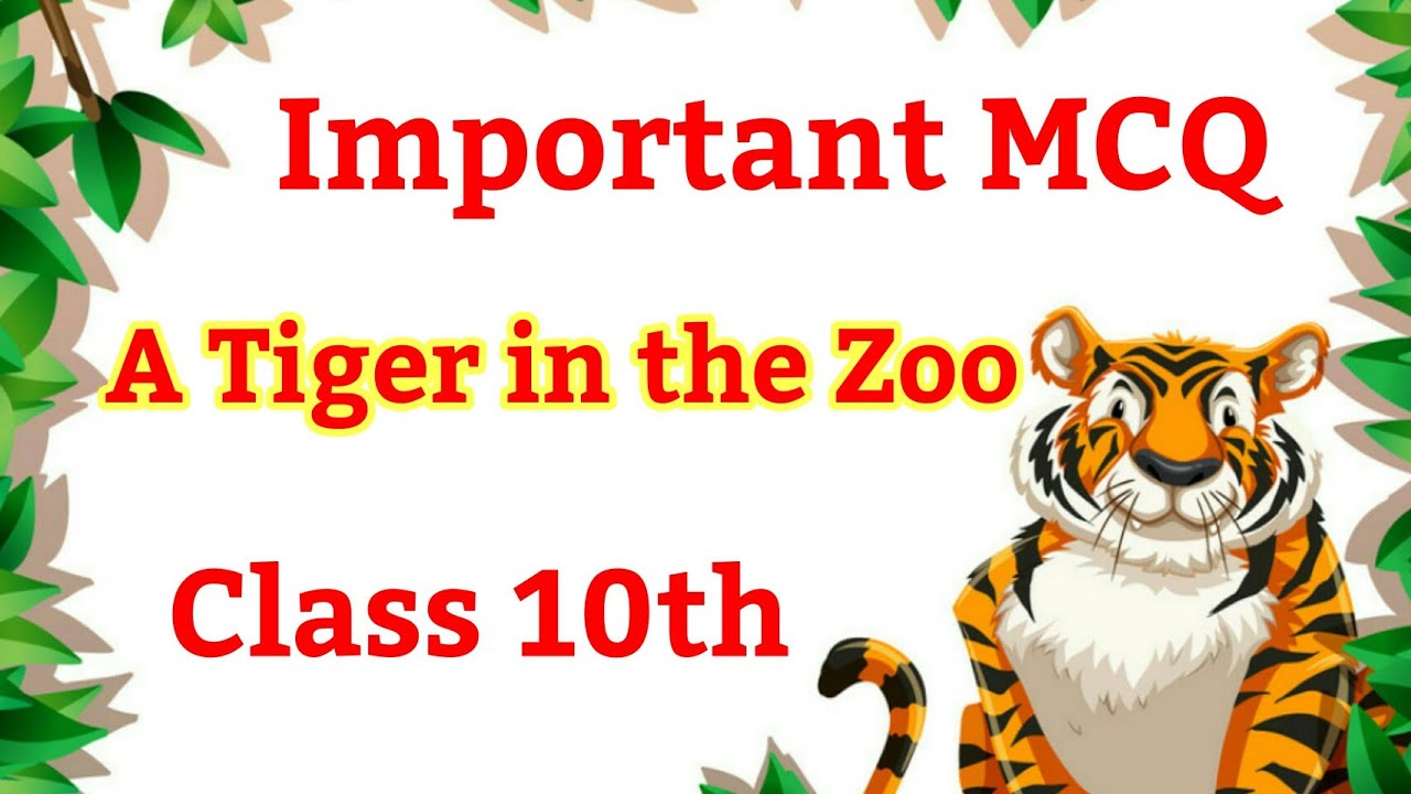 Important MCQ from A Tiger in the Zoo English Class 10 For Term 1 for (20212022) YouTube
