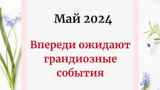 :  2024 -    .