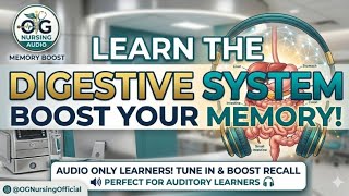 Digestive System (Anatomy &amp; Physiology) | Audio Revision &amp; Memory Booster for All Nursing Exams 🩺🔥