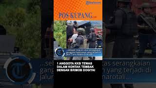 Satu Anggota KKB Tewas Dalam Kontak Tembak Dengan Brimob di Dogiyai