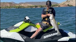 2023 Sea Doo Spark 90HP W/ IBR Review