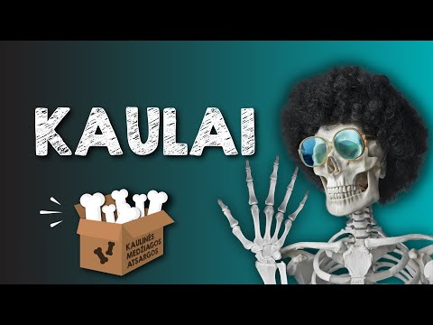 Kaulai || Dabar žinai # 10