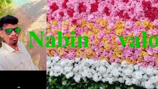 chhatabeda. Lyvara. vanda. nu. vollg. sectbi
