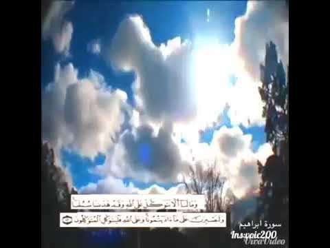 التوكل على الله باسم الله توكلنا على الله 