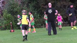 Under 8s Waitemata vs East Coast Bays Ranui Domain 23.5.2026