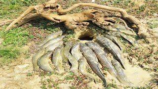 Jungle Fishing 2020 Catfish Underground In Secret Deep Hole