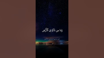 محمد صديق المنشاوي سورة الأنعام #حالات_واتس #quran