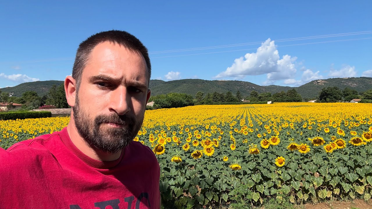 Tour de parcelles, tournesols et maïs en sec, ça donne quoi?