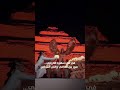 "ميّاس" تحلّق في سماء سقارة