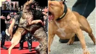 Jaki Kucinja Created With