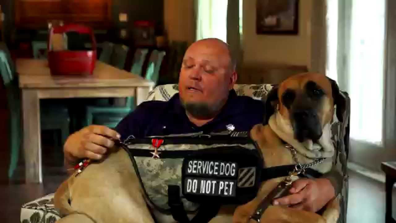 K9s For Warriors & Merrick Join Together for Veterans