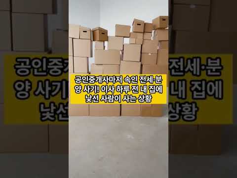 오늘의 부동산 뉴스 요약 2 #부동산전망 #부동산뉴스