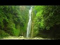 Calming Jungle Waterfall ambience (10 hours) White noise for sleeping.
