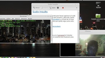 Caracteriztica Insults del comando Sudo (Linux MInt 16 petra)[Distros GNU/Linux]