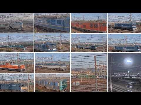 くまくまくま氏 向日町ライブカメラ編 2020 10 31