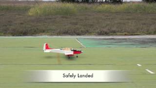 No Aileron Landing