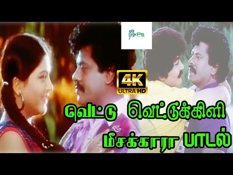 Vettu Vettu Kili Meesakara ||வெட்டு வெட்டு கிளி மீசக்கார || K. S. Chithra Love Melody H D Video Song