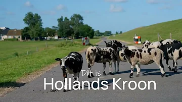 Zomertijd in Hollands Kroon: Adembenemende Landschappen