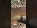 متداول عين زبيدة متداول عين زبيدة