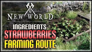 New World Strawberry Locations