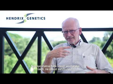 Poultry in Tanzania – Peter Arts of Hendrix Genetics on why knowledge is vital for poultry growth