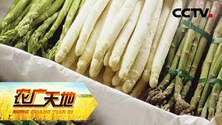 《农广天地》白芦笋土里藏 青山羊“穷”着养 20181107 | CCTV农业
