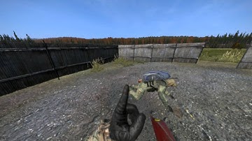 DayZstandalone bug