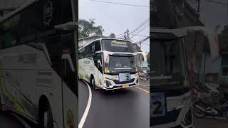 Masih bersama si sultan andara #shortvideo #teloletbasuri #qqtrans #qqtransandara