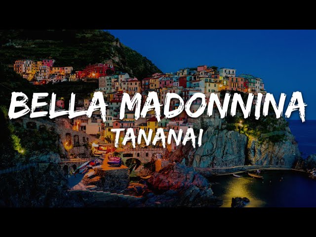 Tananai - BELLA MADONNINA (Testo/Lyrics)