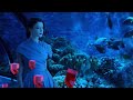 Dubai One Ident 竭ァ Aquarium 2021 Dubai One Ident 竭ァ Aquarium 2021