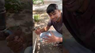 Why Electric Shock Makes You Freeze? #shorts