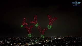 Hidrone - 2025 Lần Đầu Tiên Drone Light Thắp Sáng Bầu Trời Bình Dương
