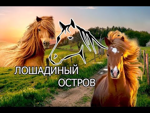 Лошадиный остров гомель Лошадиный остров гомель