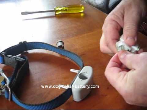 How To Replace A Dog Collar Battery - Invisible Fence Brand