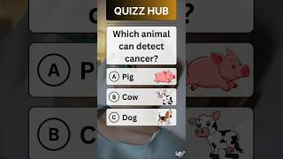 Lets See If You Can Solve It   quiz shorts unitedstates