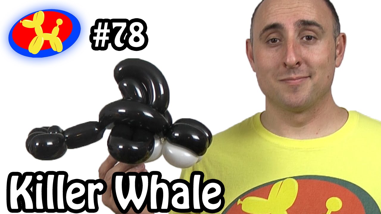 Killer Whale Balloon Animal Lessons 78 YouTube