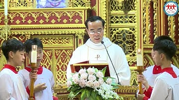 Giảng Lễ ĐỨC MARIA VÔ NHIỄM NGUYÊN TỘI Rất Ý Nghĩa | Lm ĐaMinh Đặng Thái Phúc