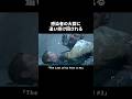 感染者の大群に追い掛け回される【The Last of Us Part II】