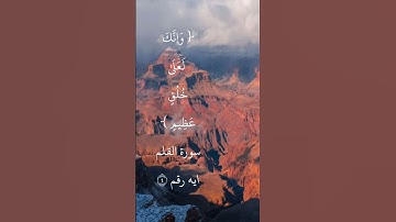 سورة القلم ايه رقم ٤