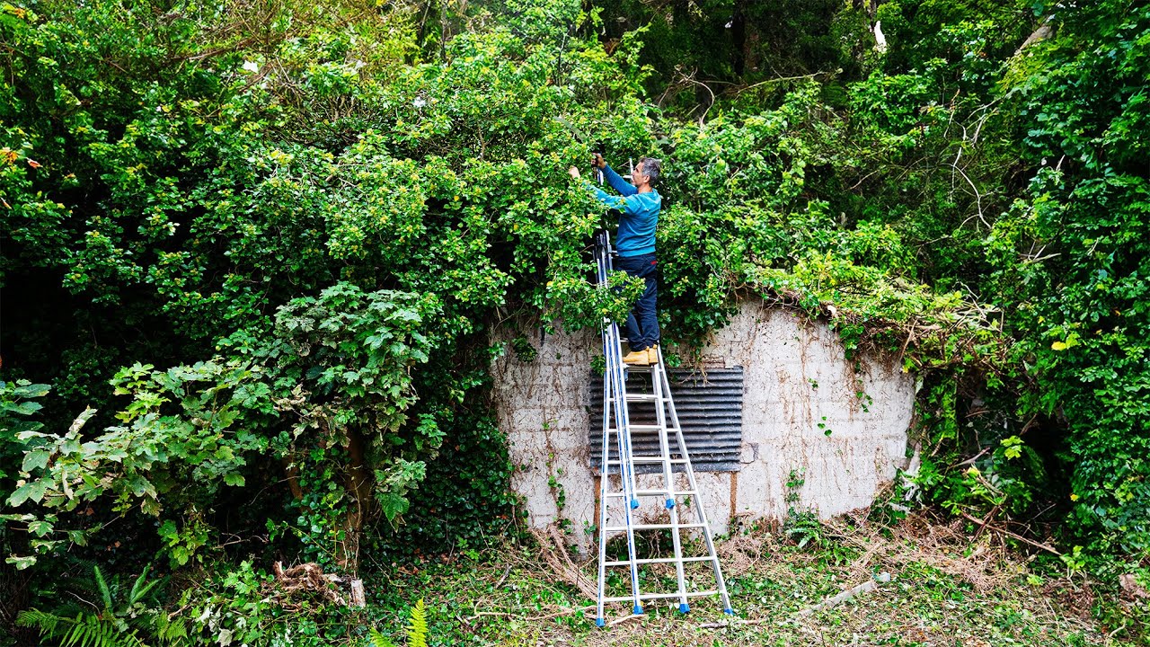 We Discovered A Hidden Building Behind our French Chateau