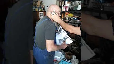 Dove si formano i nidi di zanzare?