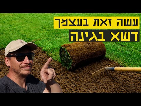 וִידֵאוֹ: איך לזרוע דשא בעצמך?