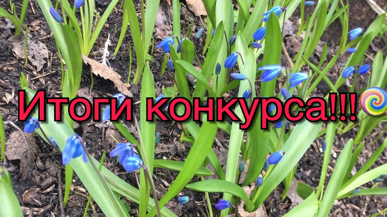 Как сделать шлифмашинку по дереву своими руками Как избавиться от морщин на лбу