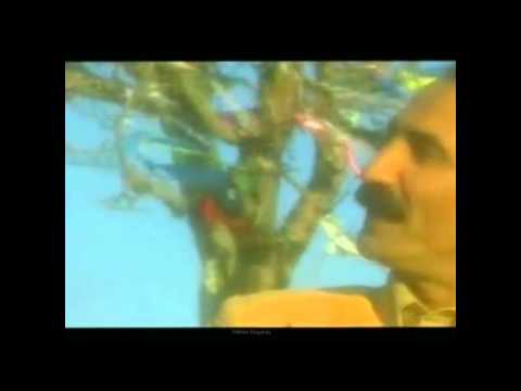 Seyfi Doğanay - Güle Güle Git ( Yıldırım Doğanay )