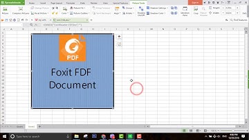 Cách chèn file PDF vào Excel