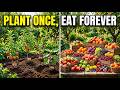 STOP Buying Fruit! Plant These 8 Trees and Feed Your Family FOREVER! Mp3 Song