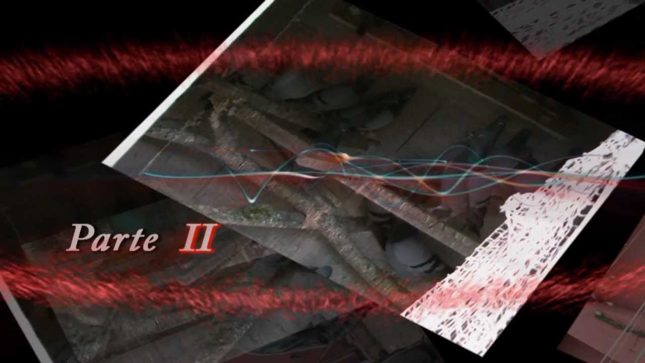 El palomo Valenciano Antiguo (II tomo de vídeo en casa de Juan Carlos)