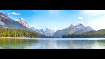 Daily Calm Live Stream: Humor